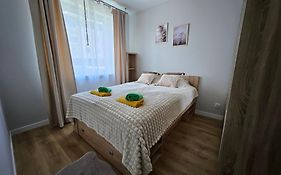 Urban Jungle Apartament Brown